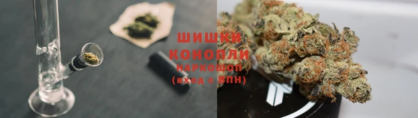прущие крисы Арсеньев