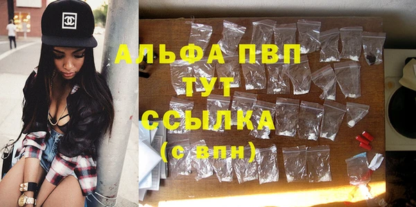 спиды Аркадак