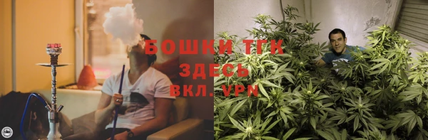 спиды Аркадак
