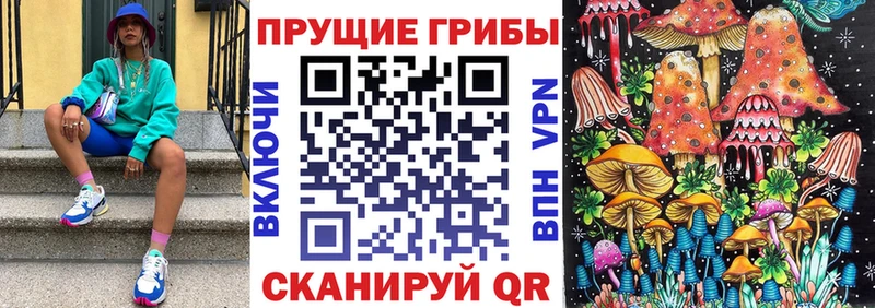 Псилоцибиновые грибы GOLDEN TEACHER  Суровикино 